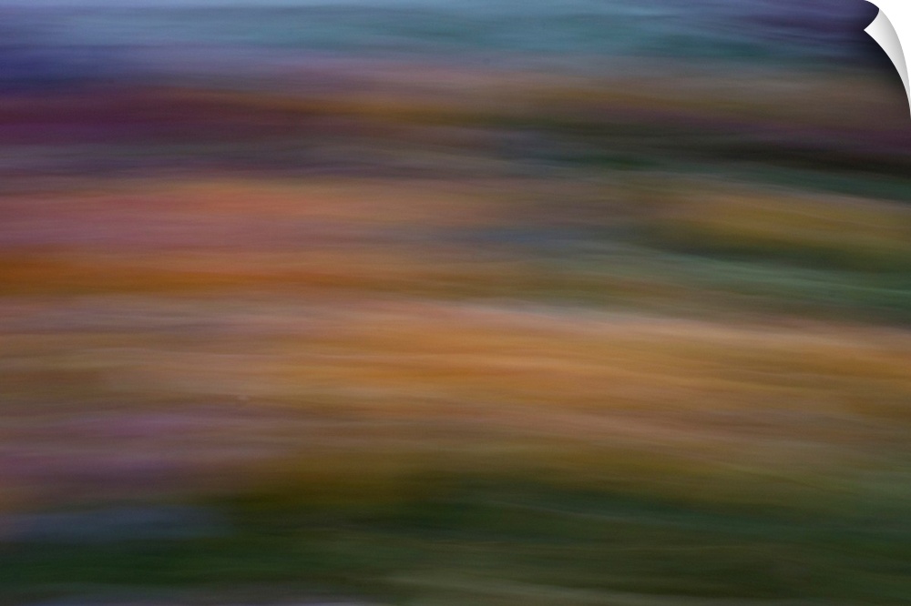 Impressionist photograph of a garden with a combination of warm colors.