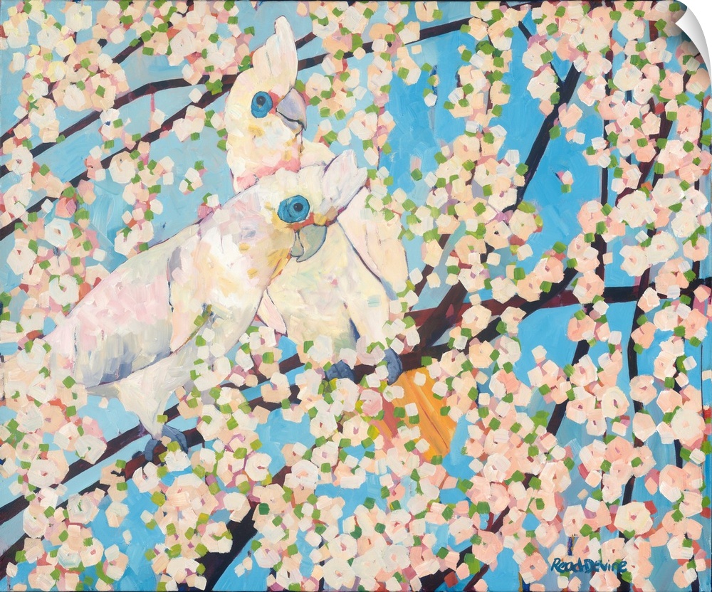 Impressionist painting of two white cockatoos sitting in a tree with white blossom and a background of blue sky.