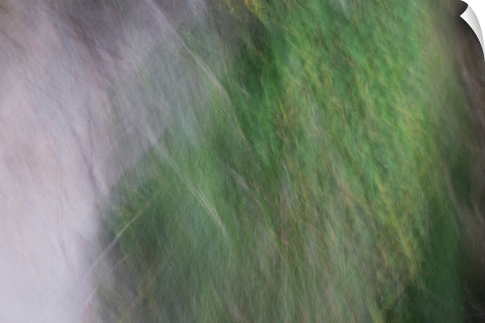 Abstract photograph of a calm ambience of green.