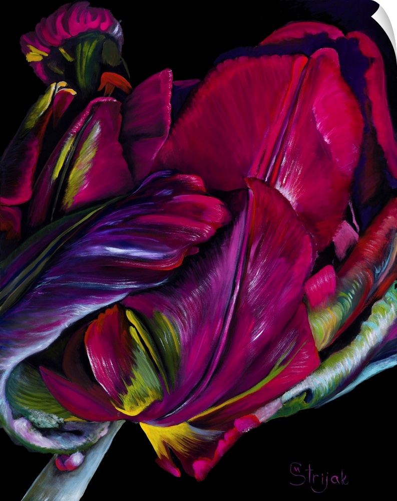 Red parrot tulips are intricate, delicate, and beautiful flowers. In this painting, the black background makes the transit...