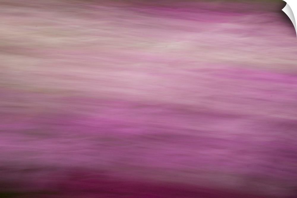 Impressionist photograph with a soft feel and shades of pink.