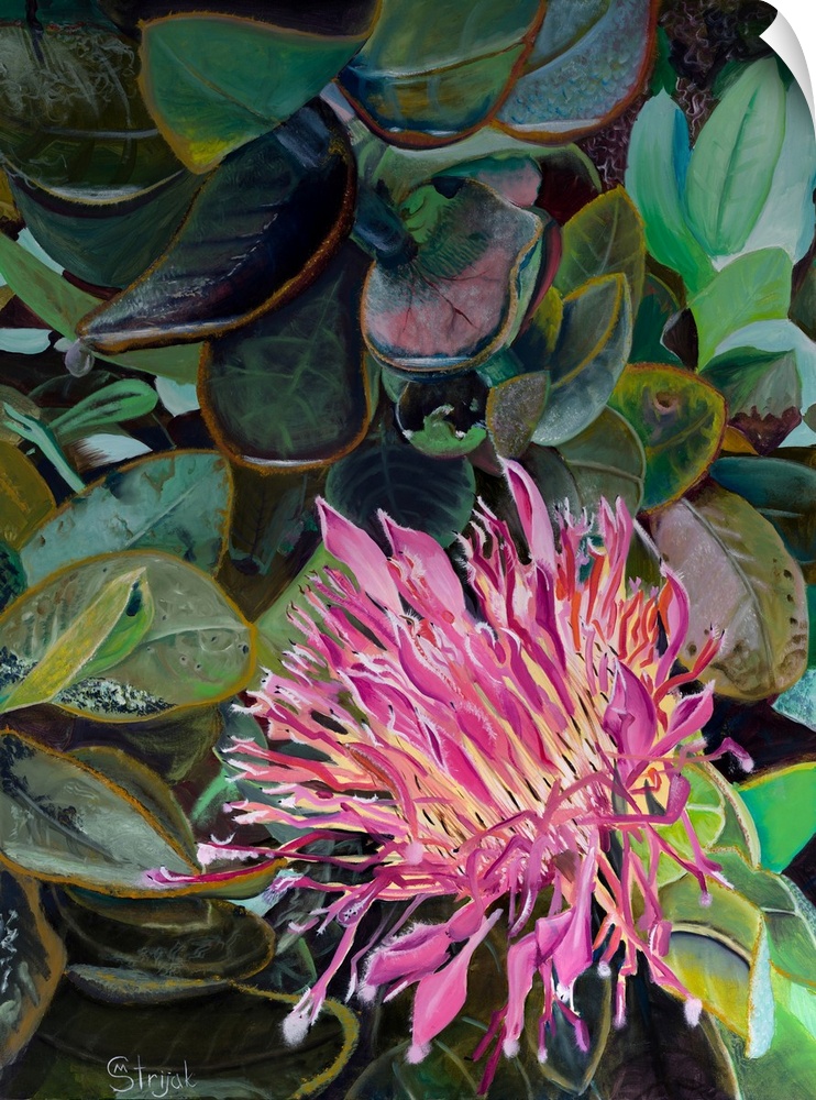 Painting of a blooming flower with slim pink petals enveloped in green leaves, reaching towards the sun.