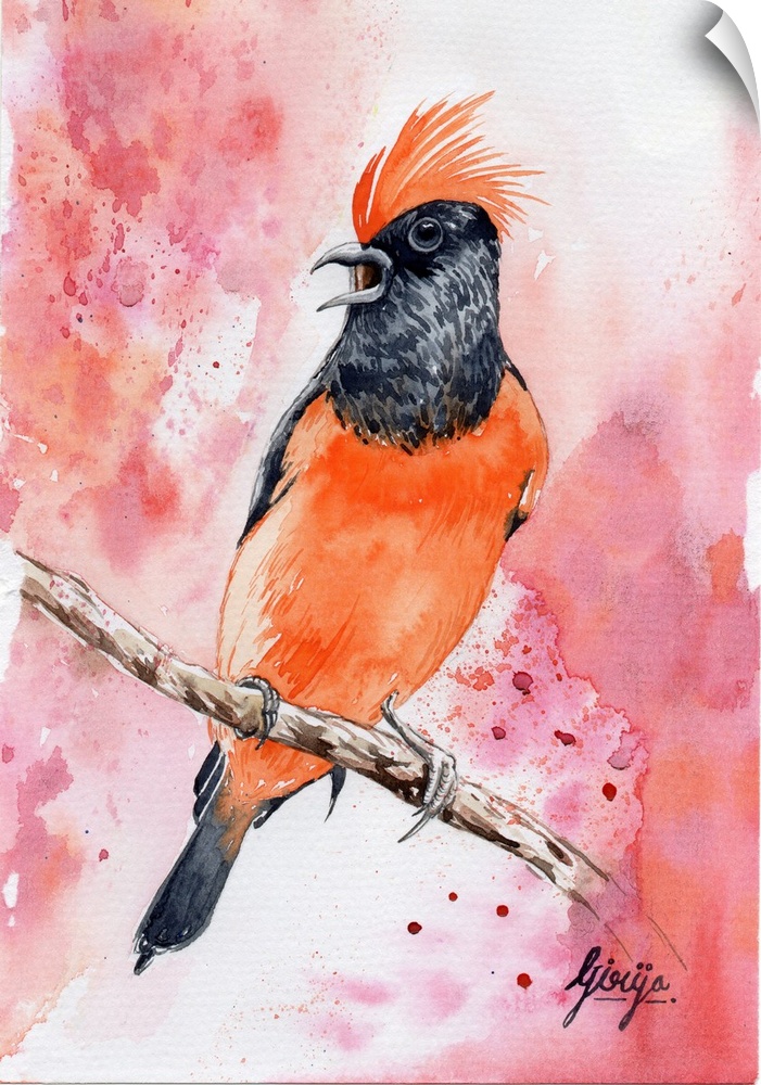 Orange is the color most easily seen in dim light; this bright orange bird is painted in watercolor on paper.