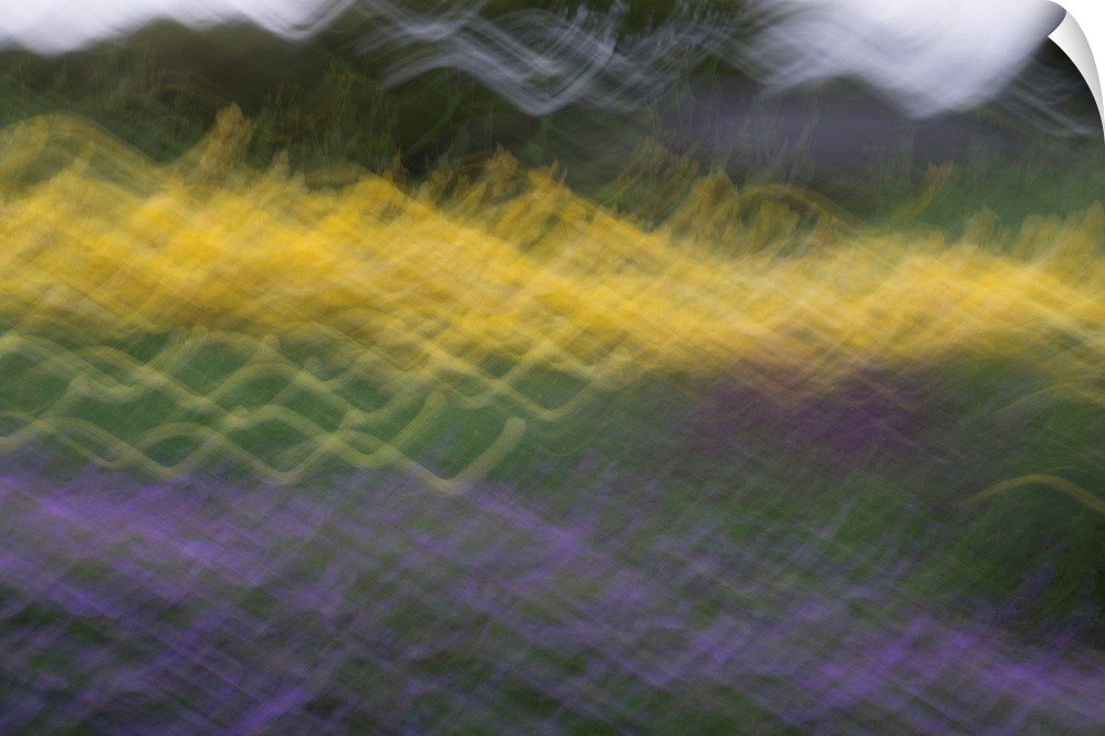 Impressionist photograph that captures the essence of a spring blossom garden.
