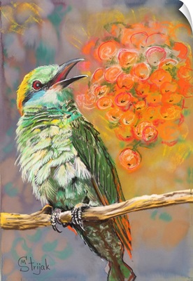 The Green Bee-Eater