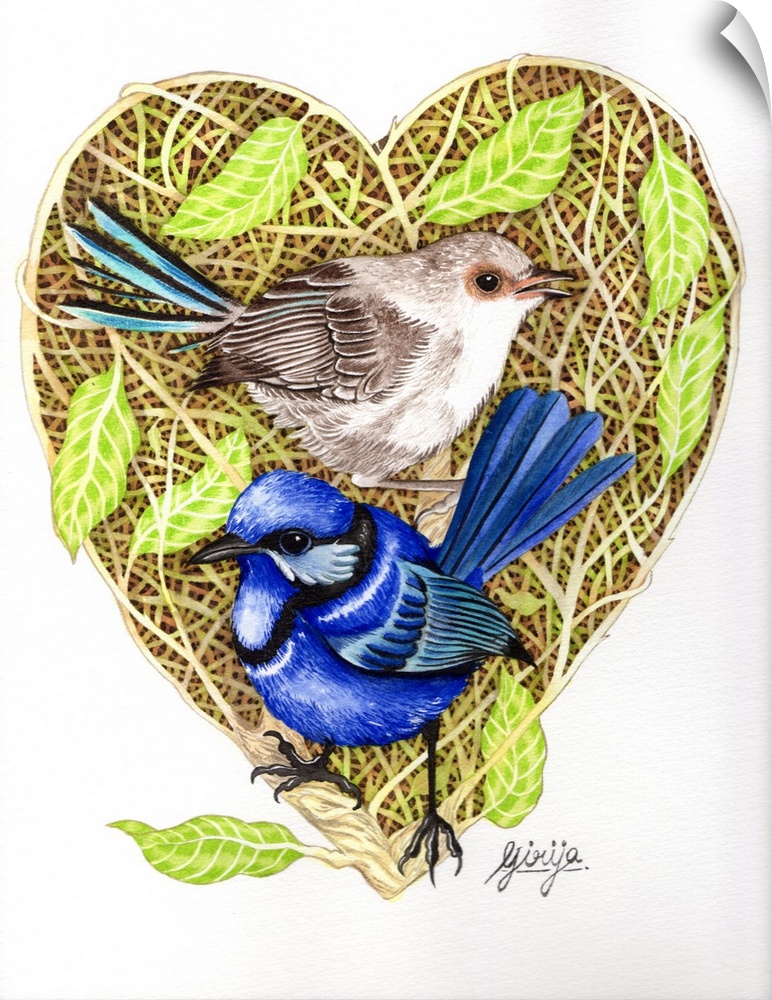The superb fairywren pair is painted against the heart shape woods in watercolor on paper.