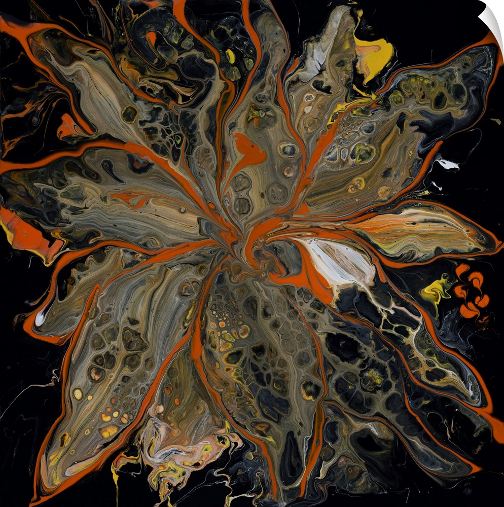 Pour painting of a flower outlined with bright orange that complements its neutral-colored petals with the striking patter...