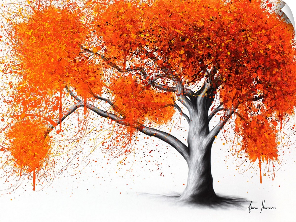 The Autumn Flame Tree