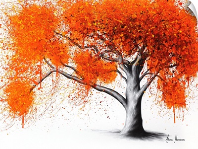 The Autumn Flame Tree
