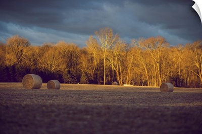 Morning Sun Over The Field With Hay Rolls
