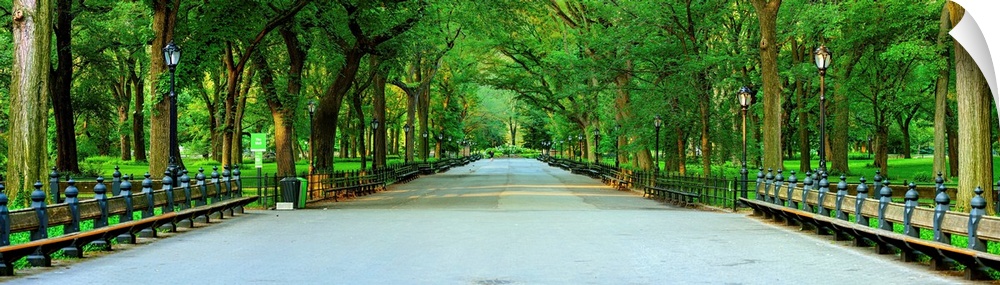 Panoramic View Of The Mall In Central Park