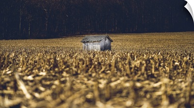 Small Shed In The Field