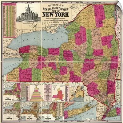 Bridgman's New Rail Road and Township Map of New York