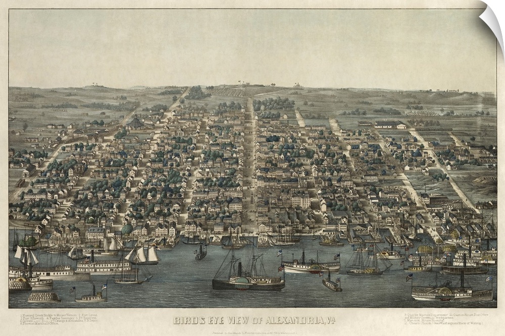 An antiqued illustrated map of Alexandria printed on canvas.