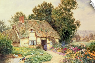 A Cottage by a Duck Pond