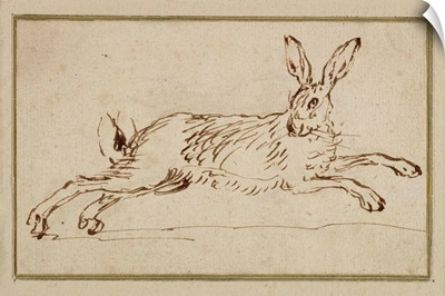 A Hare Running, With Ears Pricked