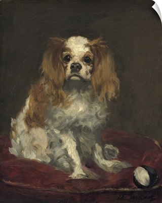 A King Charles Spaniel, c. 1866