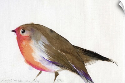 A magical little robin called Wisp, 2011