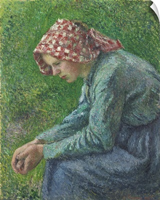 A Seated Peasant Woman