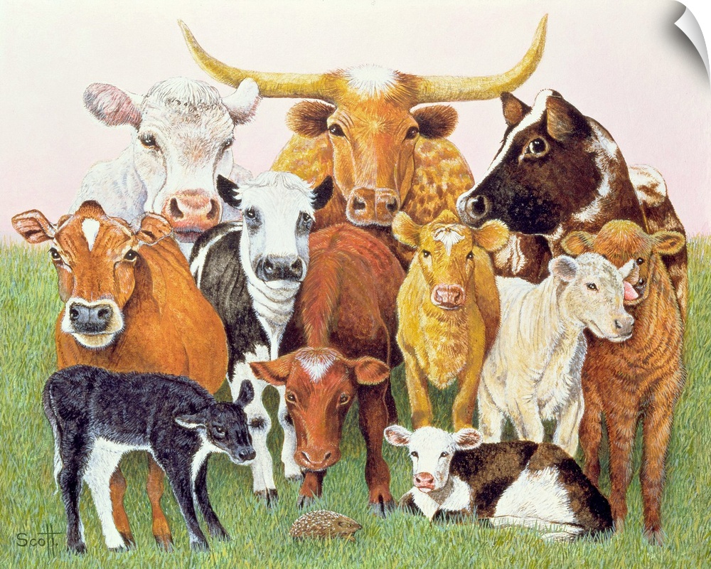 Contemporary painting of several breeds of cattle.