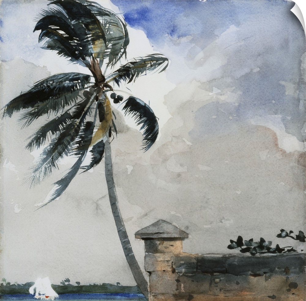 A Tropical Breeze, Nassau, 1889-90
