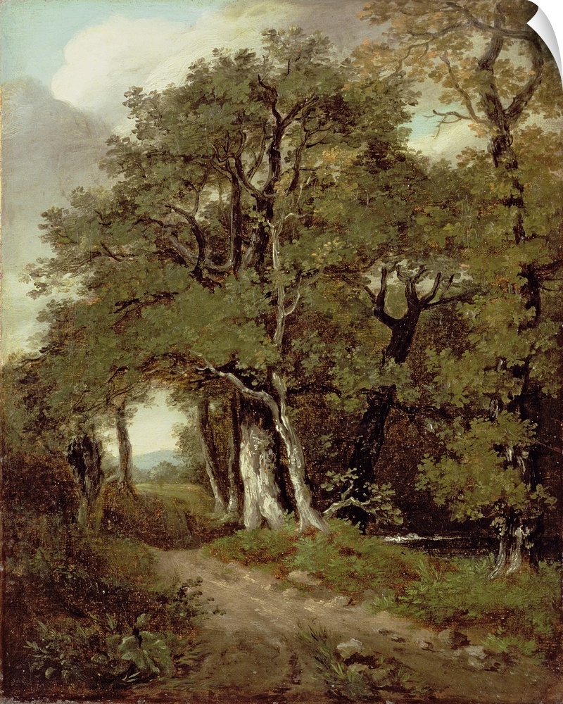 PFA63654 Credit: A Wooded Path by John Constable (1776-1837)Private Collection/ Photo A Bonhams, London, UK/ The Bridgeman...