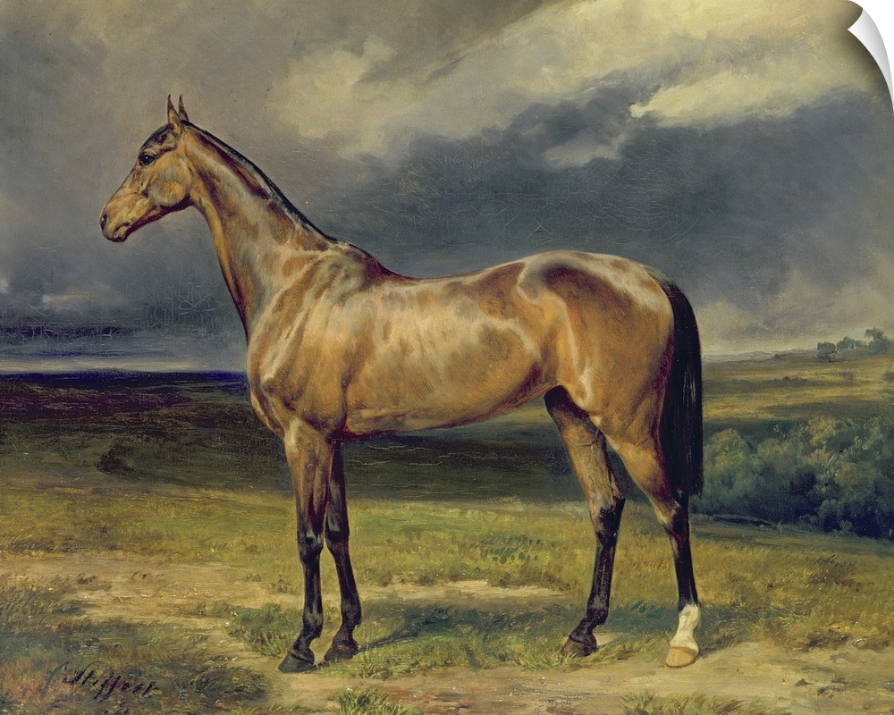Oil painting on canvas of a horse standing in an open field with stormy clouds in the distance.