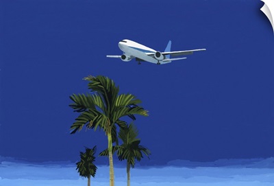 Airplane And Palm Tree, 2016