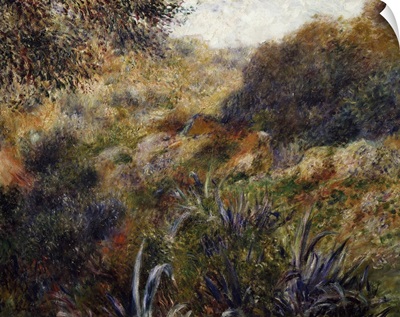 Algerian Landscape, 1881