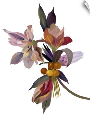 An Imaginary Flower Based On A Tulip, 2003