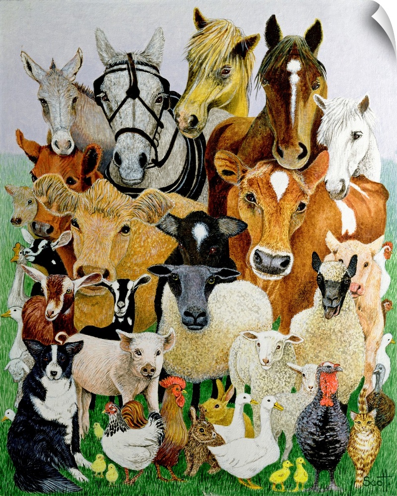 Illustration of farm animals and livestock including cows, horses, pigs, geese, chickens, sheep, goats, and rabbits.