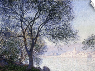 Antibes Seen From The Salis, 1888