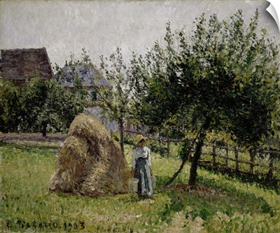 Apple Trees In Eragny, Sunny Morning, 1903