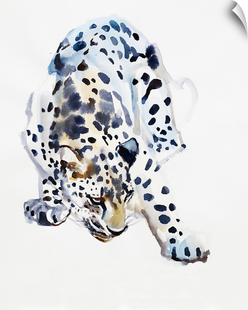 Contemporary wildlife painting of an Arabian Leopard.
