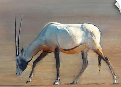 Arabian Oryx, 2010