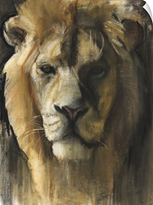 Asiatic Lion, 2015