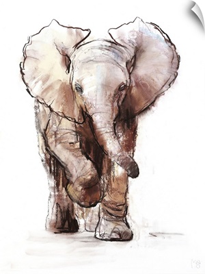 Baby Elephant, Loisaba, 2018