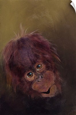 Baby Orang-Utan 2, 2010