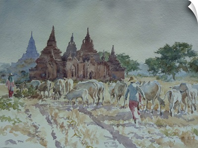 Bagan, Homewards Herding