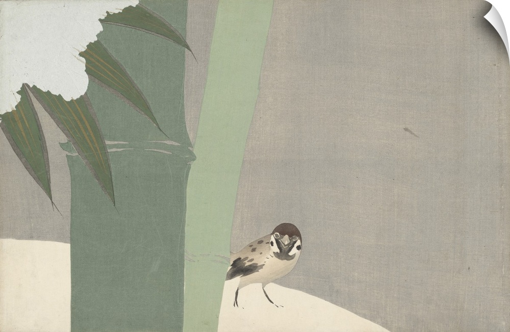 2909674 Bamboo in the snow, 1909 (woodblock print) by Sekka, Kamisaka (1866-1942); 30.2x46 cm; Rijksmuseum, Amsterdam, The...