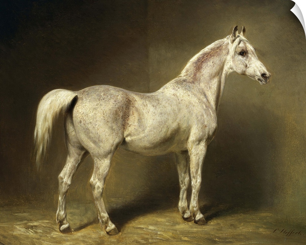 XKH223068 'Beatrice', the white arab saddlehorse of Helmuth Graf von Moltke, 1855 (oil on canvas)  by Steffeck, Carl Const...