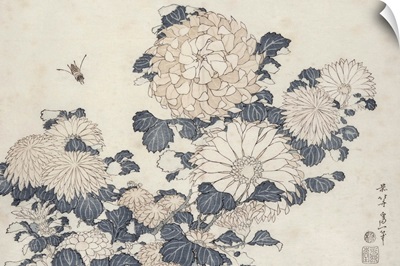 Bee and chrysanthemums, from the series Big Flowers
