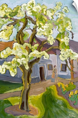 Blooming Pear Tree, 2008