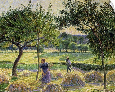 Bountiful Harvest, 1893