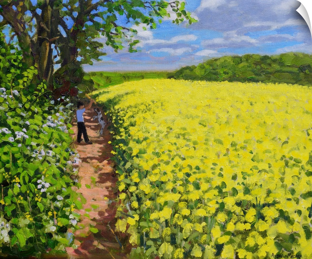 Boy and his dog, Radbourne, Derby, 2014 (originally oil on canvas) by Macara, Andrew