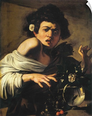 Boy Bitten By A Lizard, 1596-97