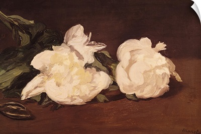 Branch of White Peonies and Secateurs, 1864