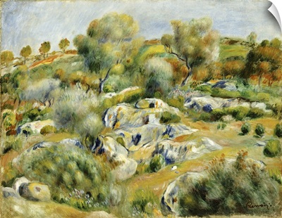 Brittany Landscape With Trees And Rocks
