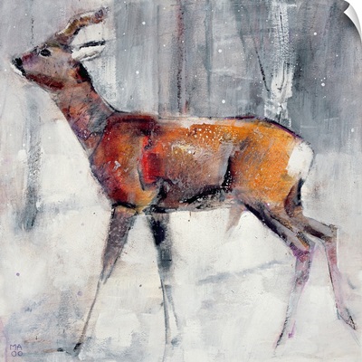 Buck in the snow, 2000