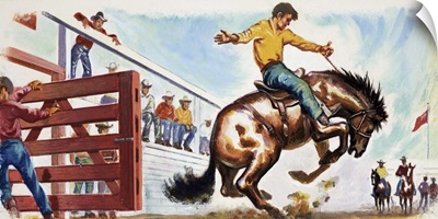 Bucking Broncho at the Rodeo